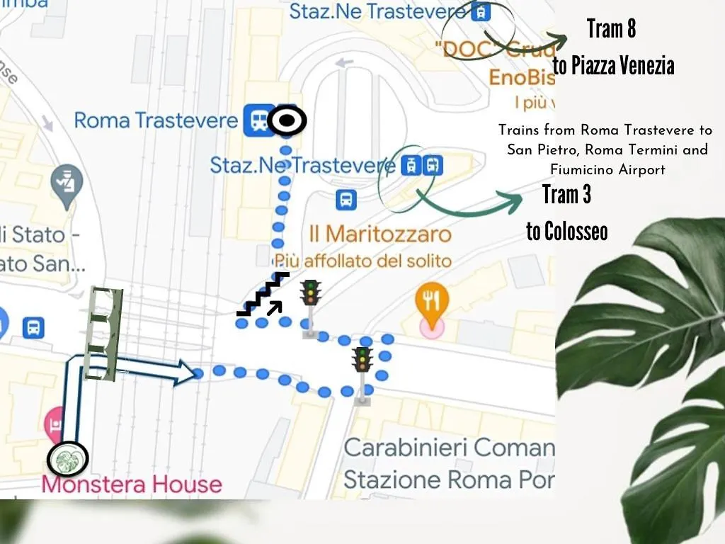 Monstera House Roma Trastevere