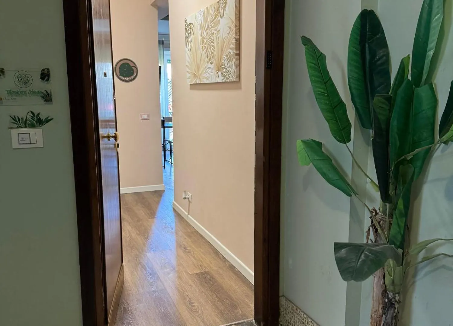 Monstera House Roma Trastevere Italia